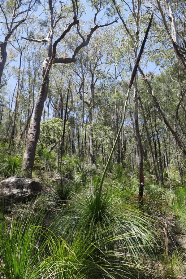 True North - 4Br Home & Garden In Bush Setting With Huge Bath Bilpin Bagian luar foto
