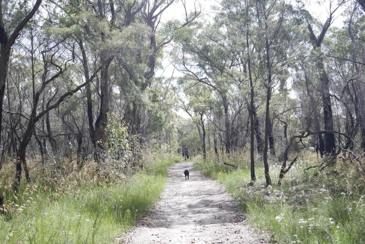 True North - 4Br Home & Garden In Bush Setting With Huge Bath Bilpin Bagian luar foto
