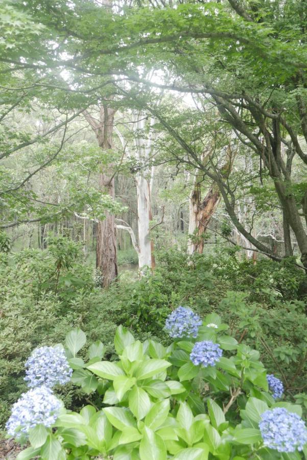 True North - 4Br Home & Garden In Bush Setting With Huge Bath Bilpin Bagian luar foto
