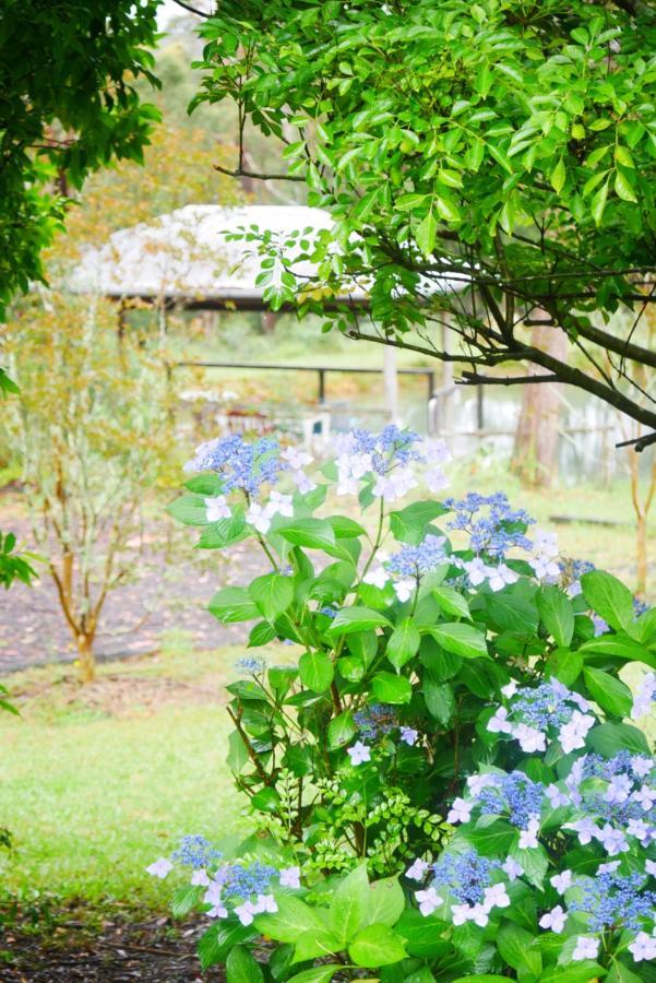 True North - 4Br Home & Garden In Bush Setting With Huge Bath Bilpin Bagian luar foto